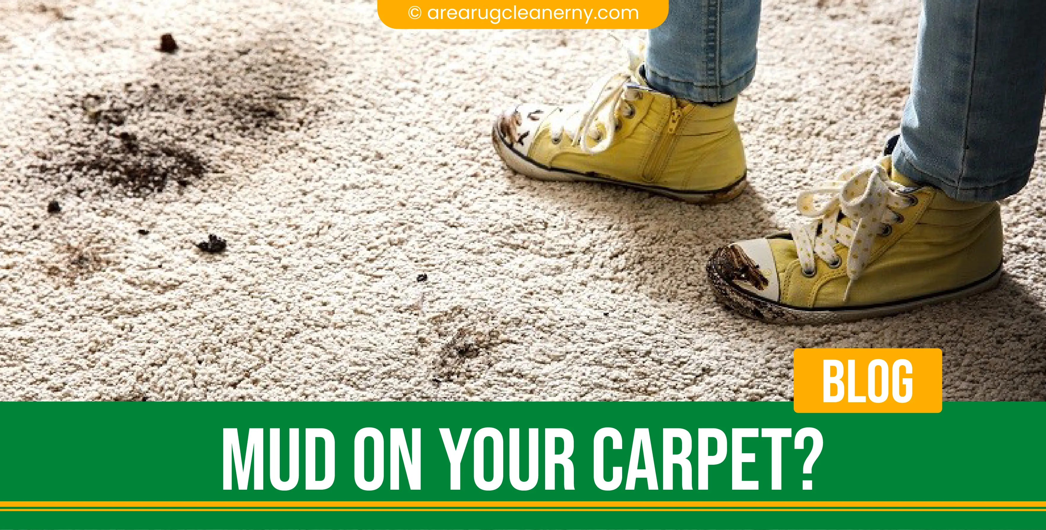 carpet cleaning in new york, carpet cleaning New York, carpet cleaners in New York, commercial carpet cleaning, commercial carpet cleaning in New York, New York rug cleaners, rug cleaning services in New York, same day carpet cleaning, same day rug cleaning, upholstery cleaning services in new york, carpet cleaning services in ny, ny carpet cleaning , rug cleaning ny, upholstery cleaning ny