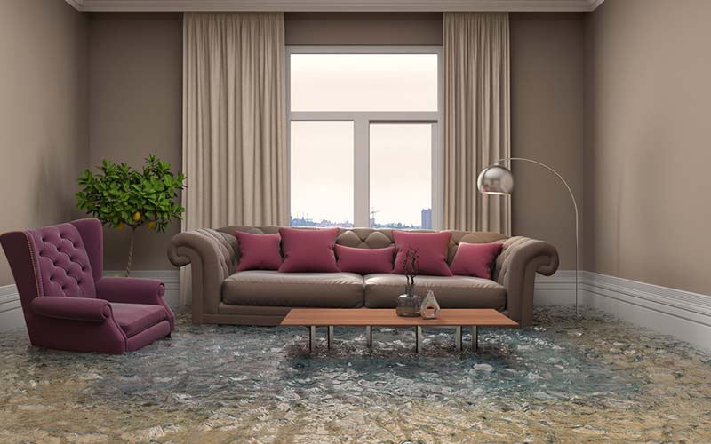 carpet cleaning in new york, carpet cleaning New York, carpet cleaners in New York, commercial carpet cleaning, commercial carpet cleaning in New York, New York rug cleaners, rug cleaning services in New York, same day carpet cleaning, same day rug cleaning, upholstery cleaning services in new york, carpet cleaning services in ny, ny carpet cleaning , rug cleaning ny, upholstery cleaning ny