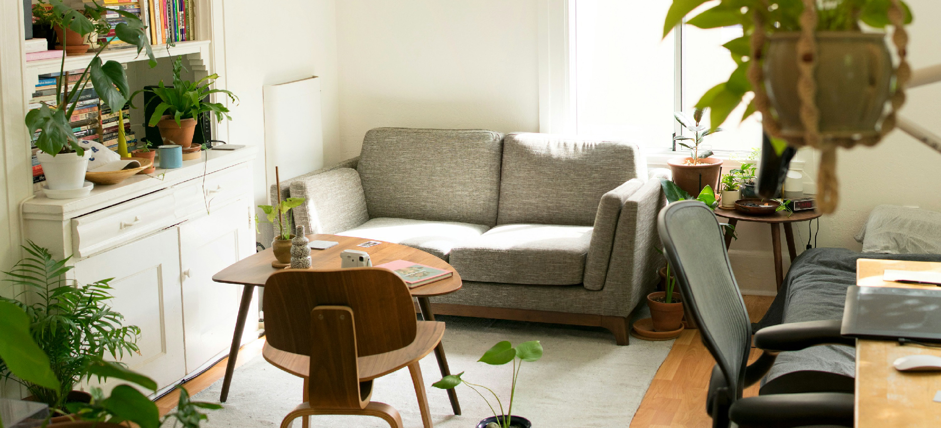 carpet cleaning in new york, carpet cleaning New York, carpet cleaners in New York, commercial carpet cleaning, commercial carpet cleaning in New York, New York rug cleaners, rug cleaning services in New York, same day carpet cleaning, same day rug cleaning, upholstery cleaning services in new york, carpet cleaning services in ny, ny carpet cleaning , rug cleaning ny, upholstery cleaning ny